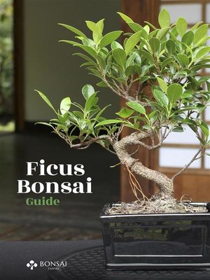cover image of Ficus Bonsai Guide